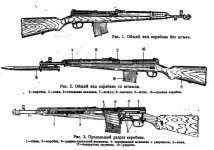 automatic tokarev's carbine pic.jpg