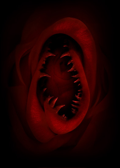teeth-movie-poster2.jpg