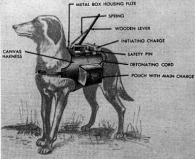 anti-tank_dog_mine%2Bweird%2Bweapons%2Bof%2Bwar3.jpg