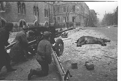 soviet-russian-army-berlin-1945-ww2-second-war-two-incredible-pictures-images-photos-001.jpg