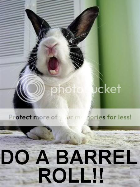 do-a-barrel-roll-rabbit.jpg