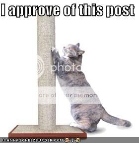 cat_post_approval.jpg