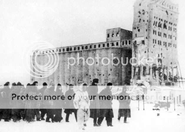 German_pows_stalingrad_1943.jpg