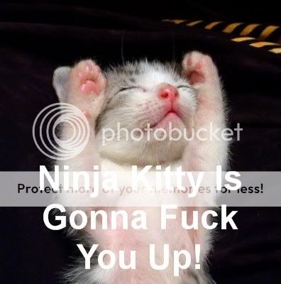 NinjaKitty.jpg