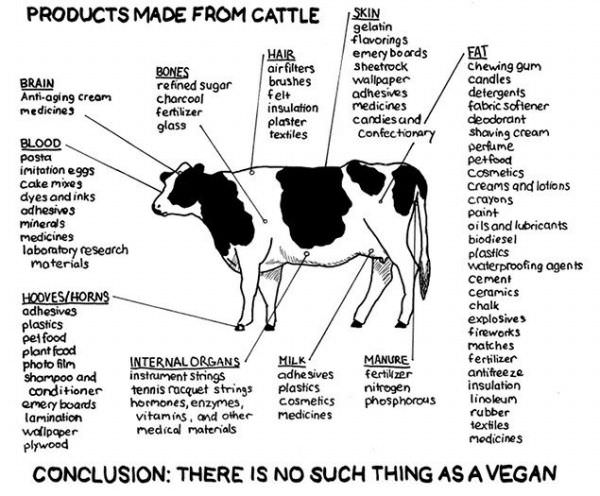 Cattle_Products.jpg