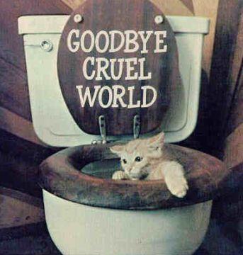 kitty-suicide.jpg
