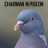 Chairman Pigeon