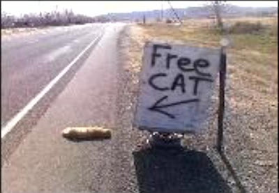 free+cat.jpg