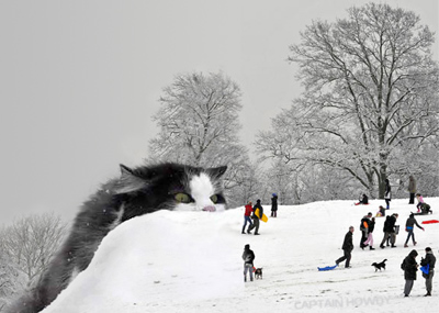 snowcat.jpg