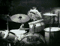 animal-drums.gif
